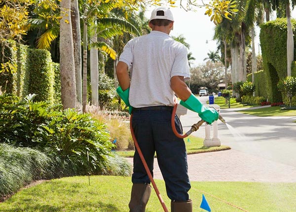 About Woodstock Valley CT Pest Control Pros